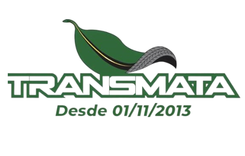 Transmata logo